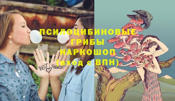гидра Балабаново